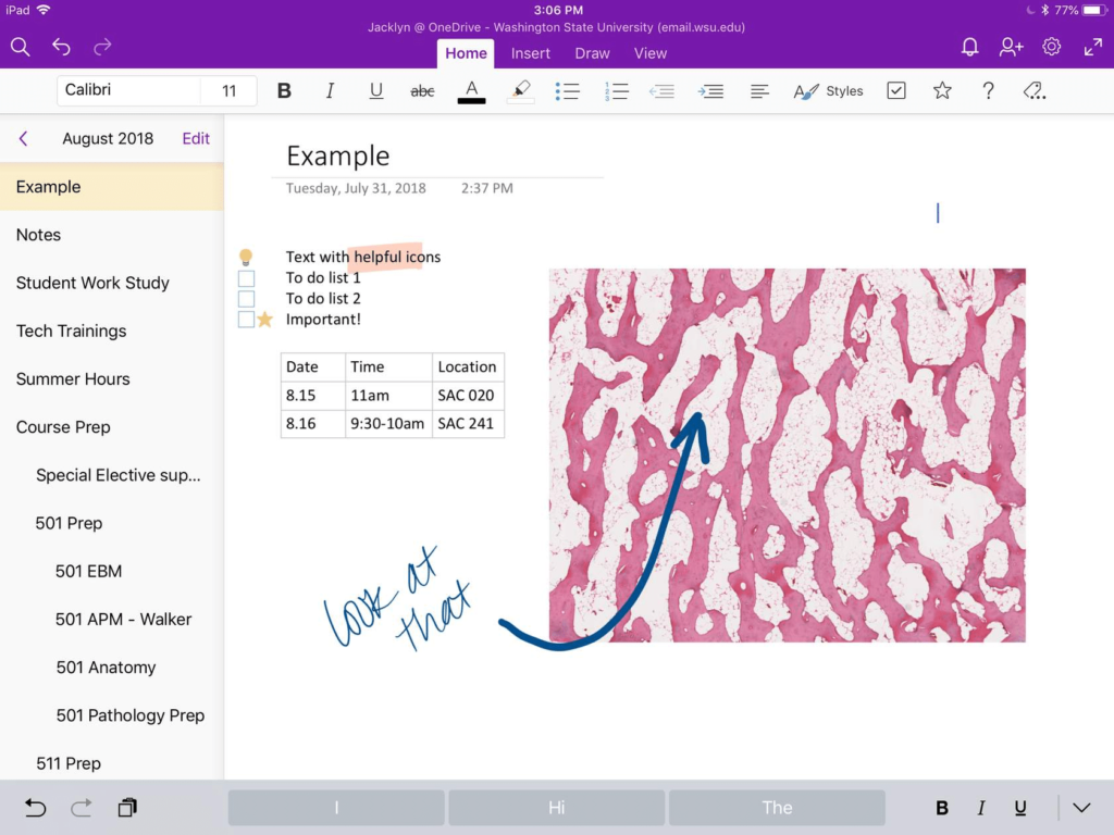 Onenote Basics 6010