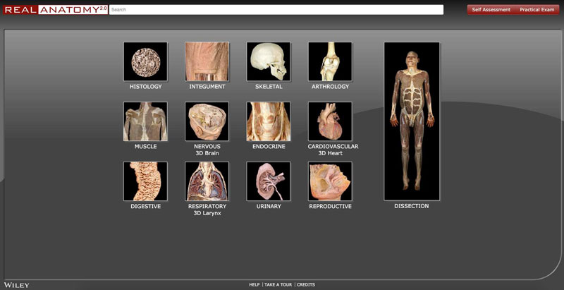 real-anatomy-search-homescreen-hotspot