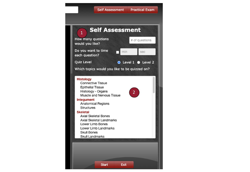 real-anatomy-self-assessment-hotspot