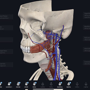 incoming-students-apps-resources-3D4-medical-image