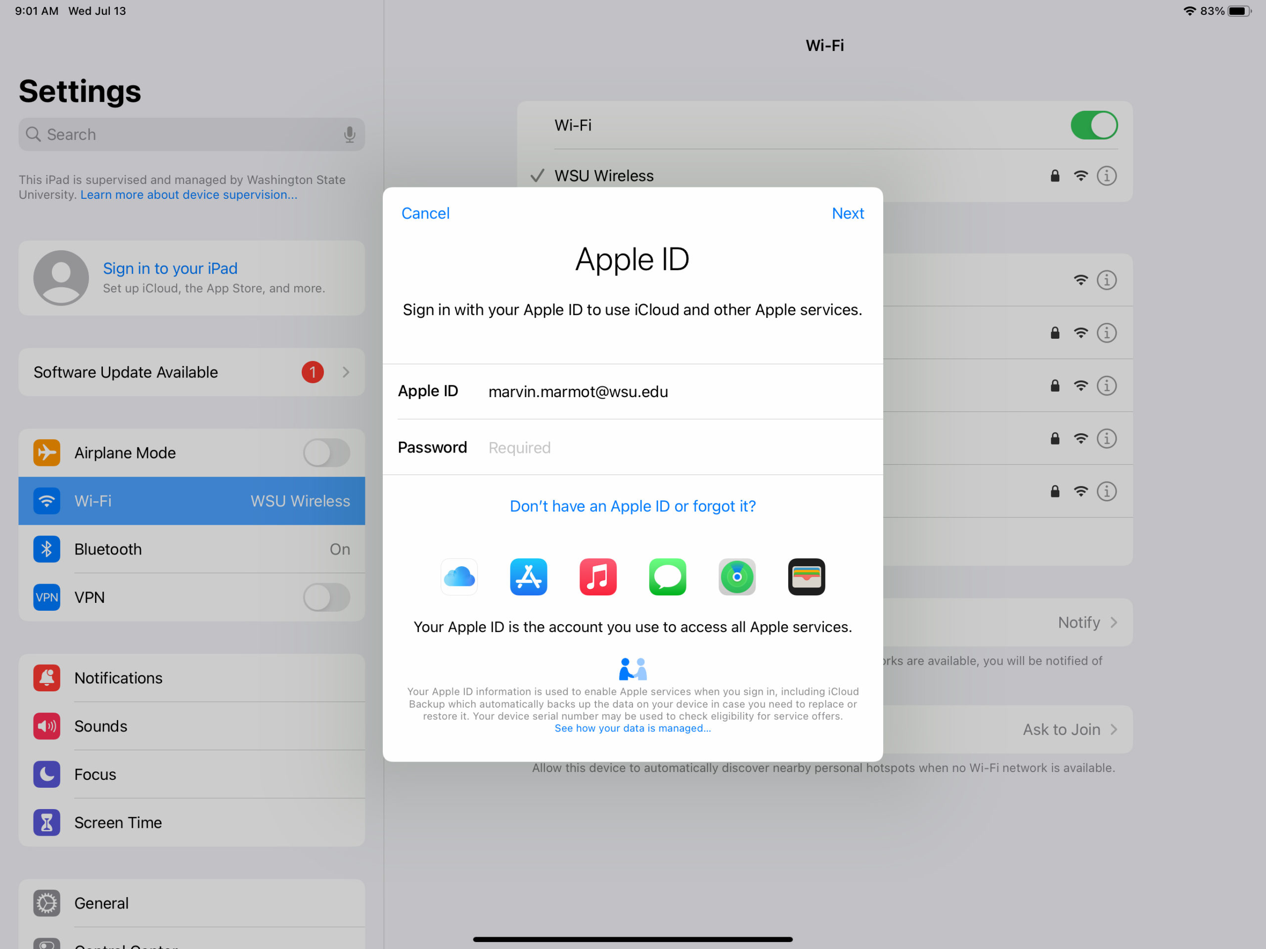IPad Setup Instructions