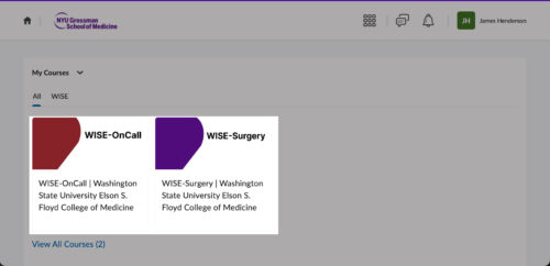 Choose the button for your needs: WISE-On-Call or WISE-Surgery.